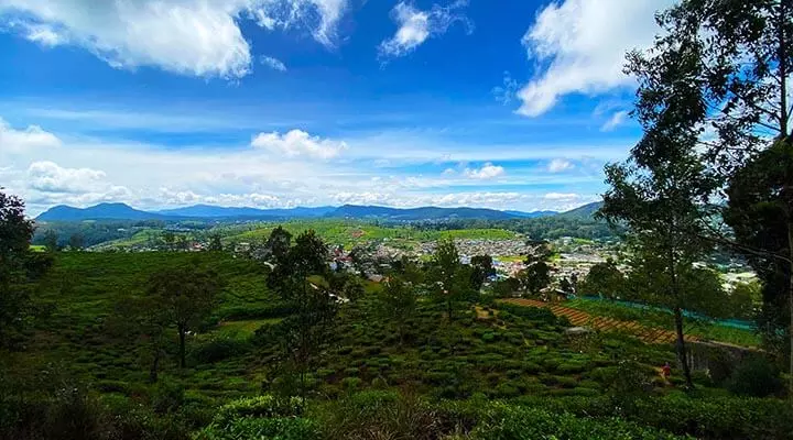Some say on clear days, you can see the sea from afar | Lover's Leap